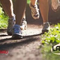 LAUF10! Abschlusslauf in Wolnzach 2023